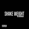 The Everchasers - Shake Weight - Single